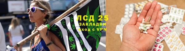 ешки Алексин